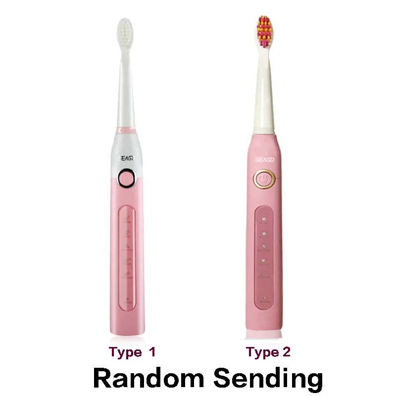 Seago SG507B Electric Toothbrushes Sonic Automatic Adult Timer Brush USB Rechargeable Electric Tooth Brush Waterproof Gift Box