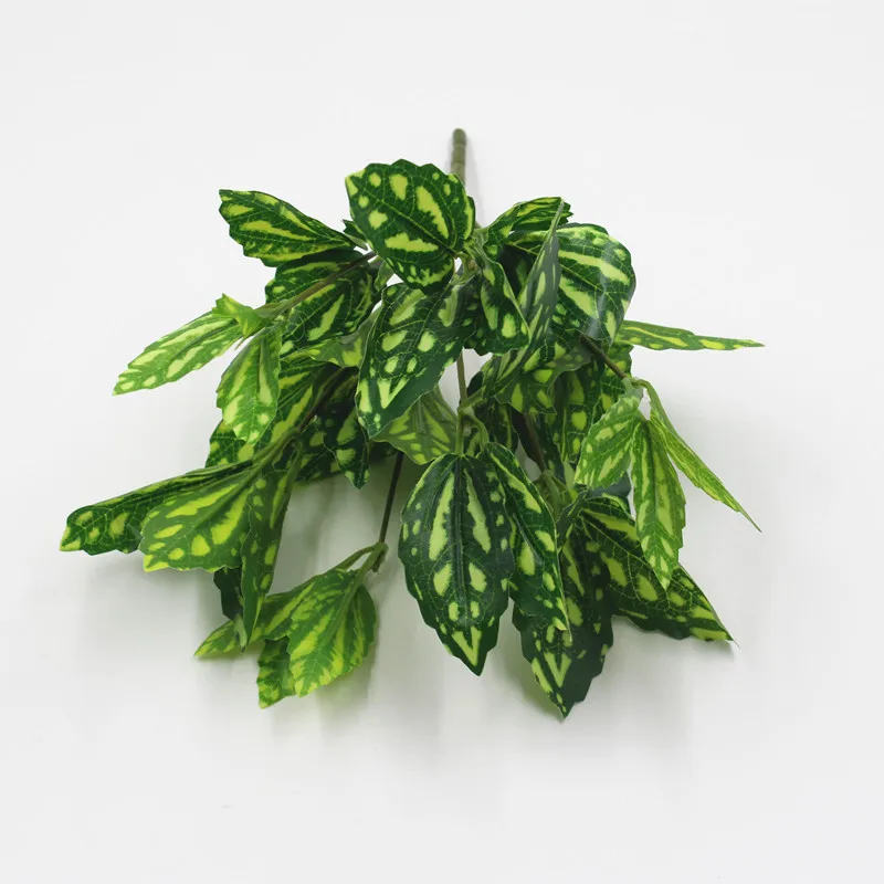 9792281106_1338463617