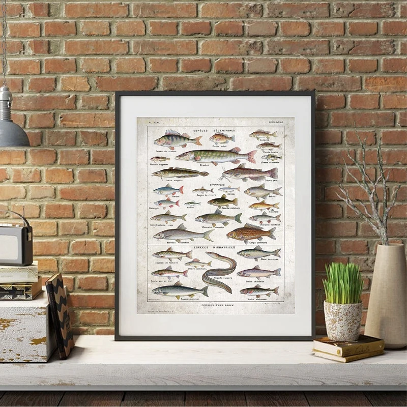 Fish Poster Home Office Decor