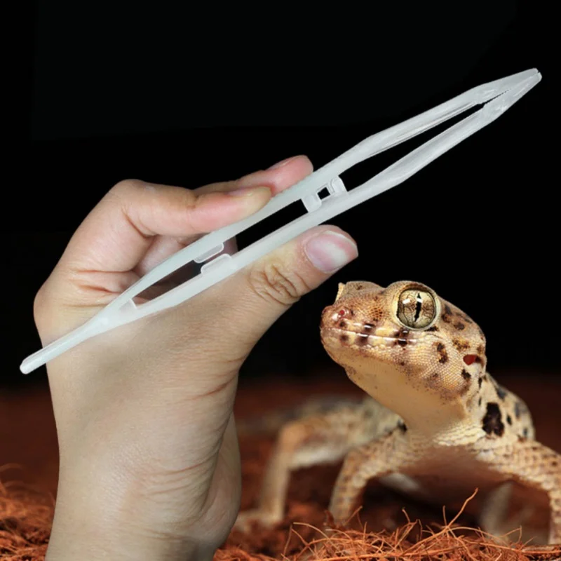 

Luminous Pet Reptile scorpions Feeding Tongs Tweezers Eco-Friendly Bamboo Feeding Tool