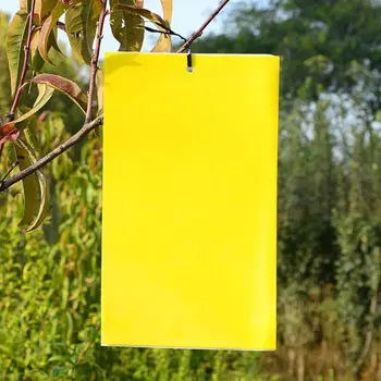 

20-Pack Dual-Sided Sticky Traps with Twist Ties for Flying Plant Insect Thrips