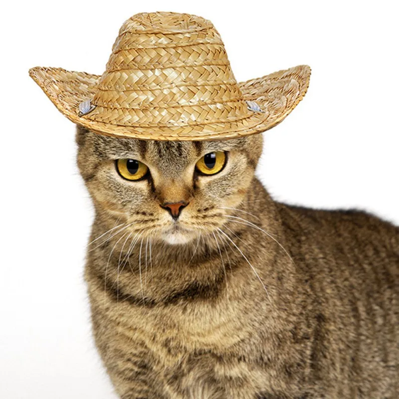 Cat Hat Pet Straw Sombrero Hat 