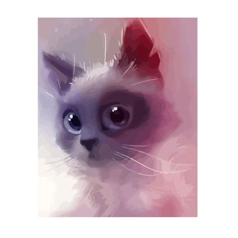 

Frame Cute Cat DIY Painting By Numbers Animals Coloring By Numbers Modern Wall Art Canvas Painting Home Decor