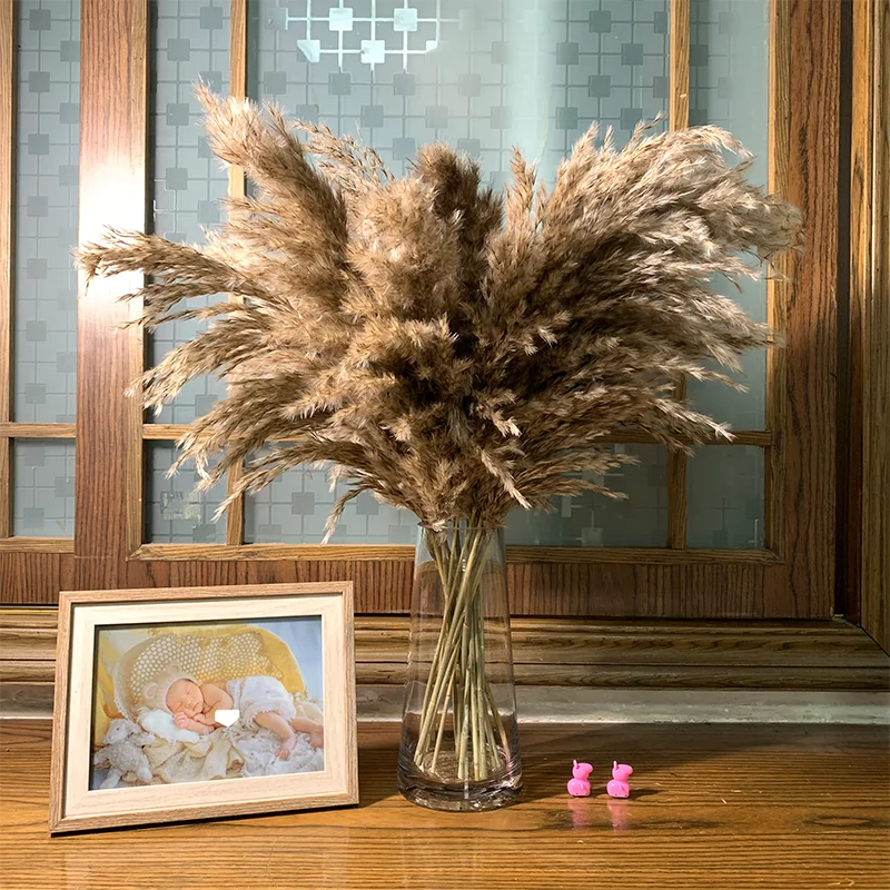 

Free shipping,10/20pcs,Dried Pampas Grass Bouquet,Wedding Decor,Flower Bunch,Natural Plants,Home Decor
