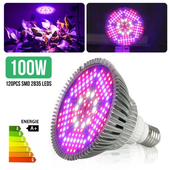 

1*E27 100W Plant Growth Light 100Watt LED Grow Light Bulb Plant Grow Lamp Full Spectrum Garden Fruit For Seed Starting