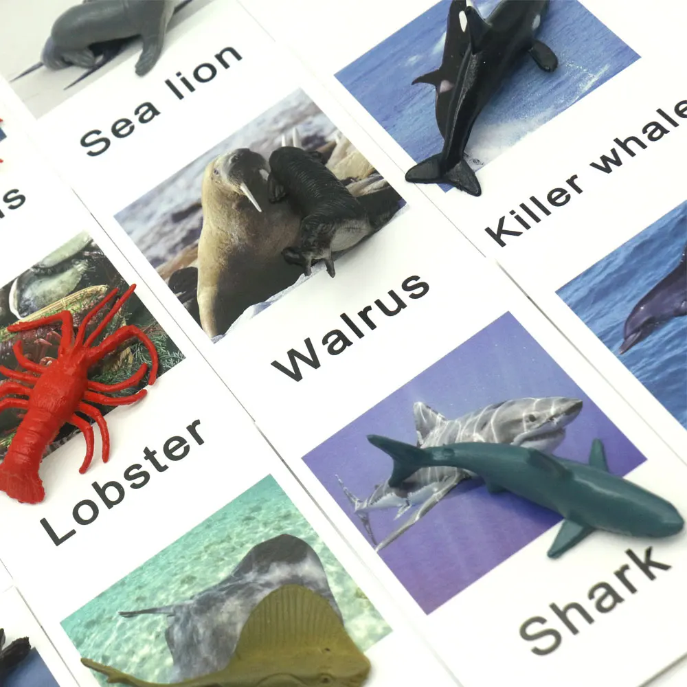 Montessori Toys Ocean Animal Match Cards and Figurines, Matching Game Language Learning Materials Juguetes Montessori L1046F