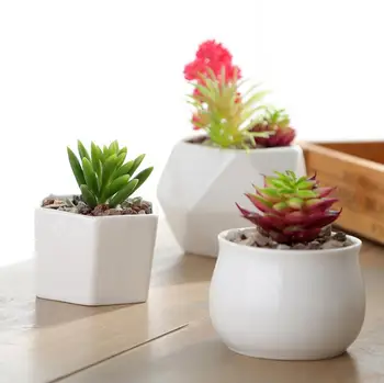 

TECHOME New Simple White Ceramic Flower Pot Succulents Pot Multiple Shapes Small Flower Pot Home Desk Decoration