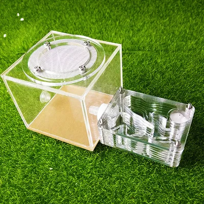 shape C with box Акриловое мини-& гипсовые муравьи фермы муравьи Гнездо дом для молодых королев или небольших колоний - Цвет: shape C with box