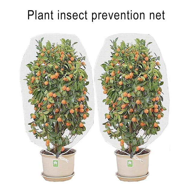 Drawstring Plant Protection Cover Plant Protective Equipment Fruit Tree  Anti-birds Insect Anti-frost Net for Agricultural Hortic - AliExpress