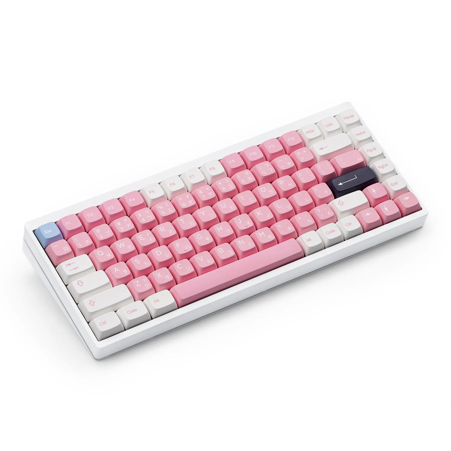 Kbdfans Np Pbt Eva 08 Keycaps Set Mice & Keyboards Accessories