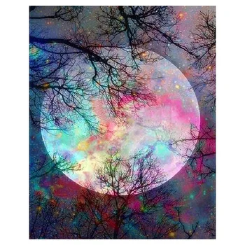 

Paint By Numbers DIY Acrylic Painting Kit for Kids & Adults 40X45cm Moon Night with 3 Brushes