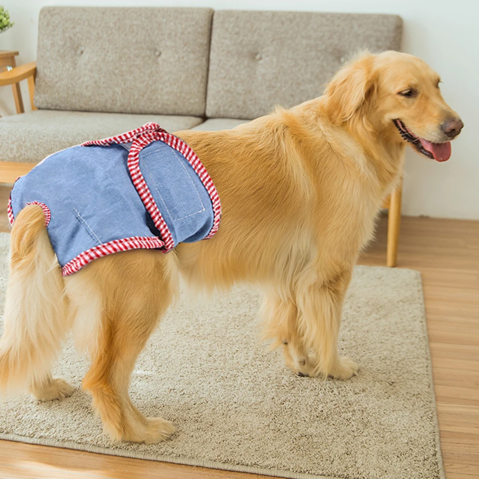 dog menstruation pants