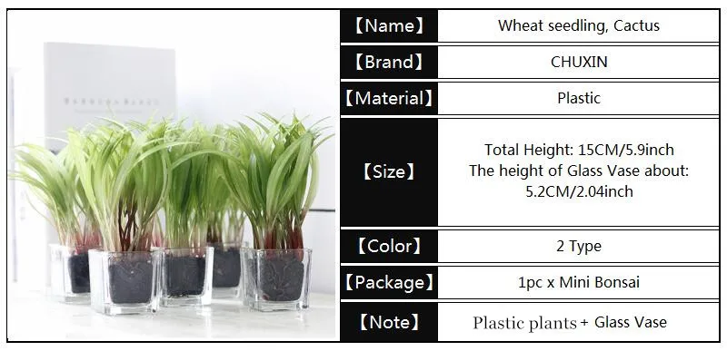 HTB1.dcAgamgSKJjSsplq6yICpXaM