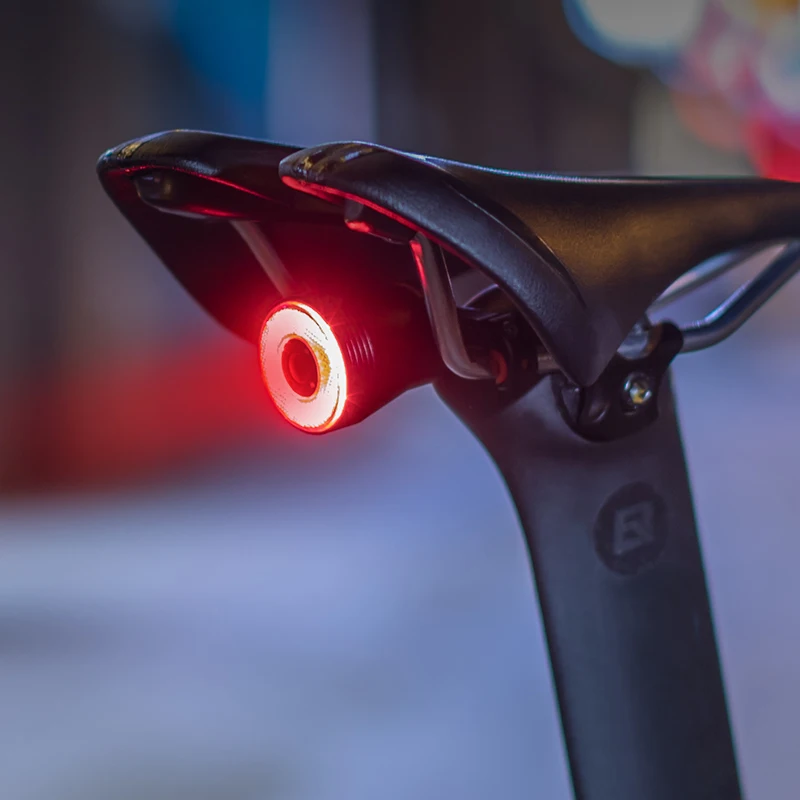 ROCKBROS Bicycle Smart Auto Brake Sensing Light IPx6 Waterproof LED Charging Cycling Taillight Bike Rear Light Accessories Q5 6