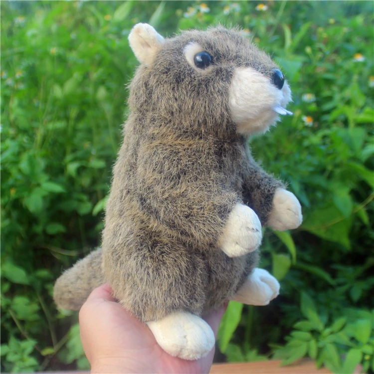 Реалистичная игрушка около 21 см marmot плюшевая игрушка мягкая детская игрушка-кукла рождественский подарок h0558