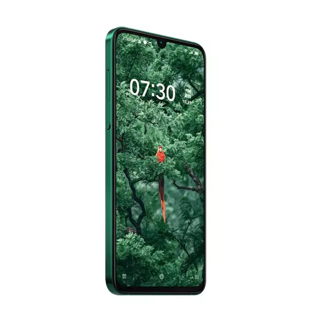 Смартфон Smartisan Nut Pro 3 6,3" Amoled Snapdragon 855 Plus, четыре ядра, 12 Гб ОЗУ, 256 Гб ПЗУ, 5 камер, лицевая сторона+ отпечаток пальца