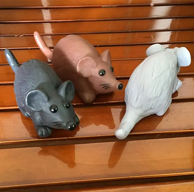 Игрушка для дрессировки домашних питомцев|Игрушки кошек| |