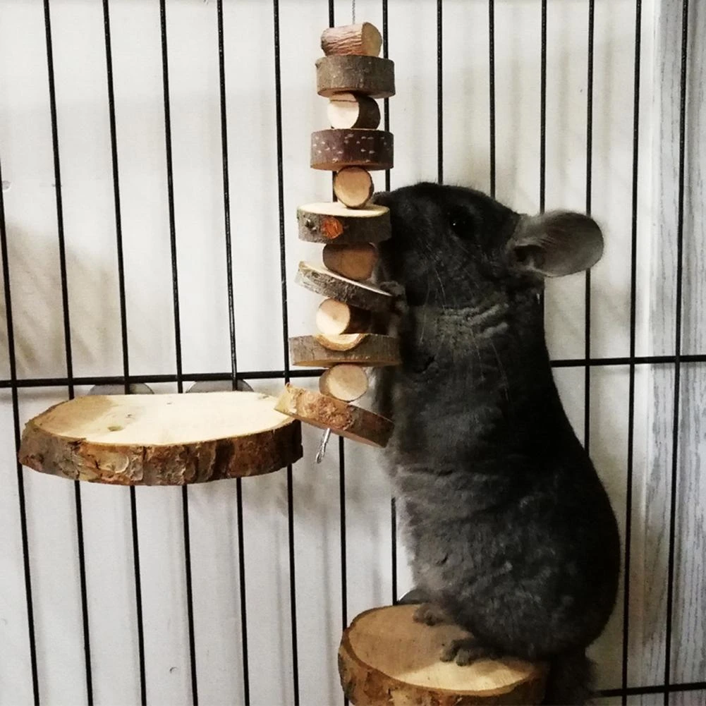 chinchilla accessories and toys