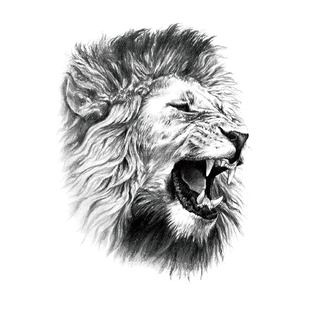 Lion tattoo illustration art, handmade drawing. | CanStock