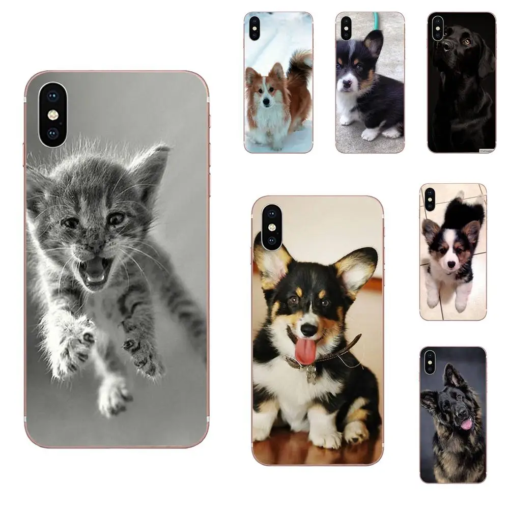 ТПУ защитный чехол для LG K50 Q6 Q7 Q8 Q60 X power 2 3 Nexus 5 5X V10 V20 V30 V40 Q Stylus Corgi черный фон собаки
