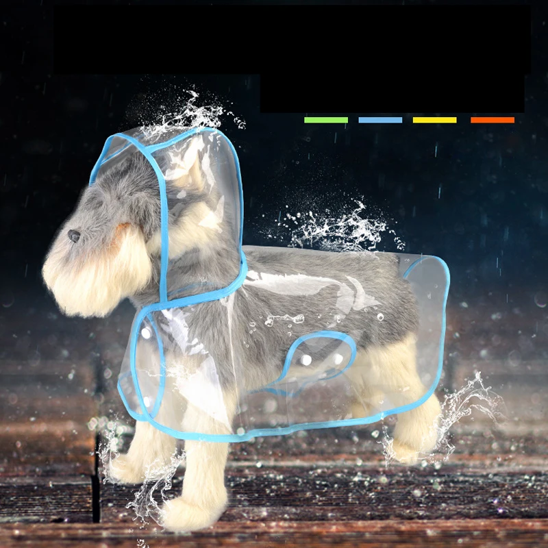 9003419247_489432622