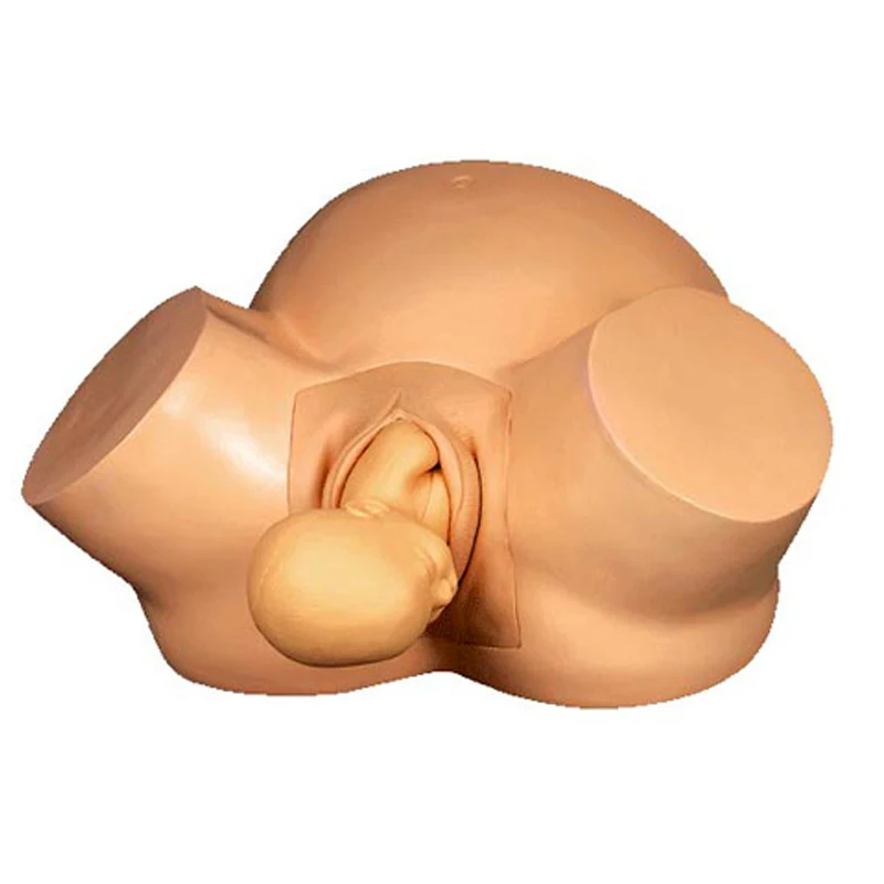 

Вакуумный симулятор родов, модель для обучения акушерству для демонстрации родов, медицинский уход