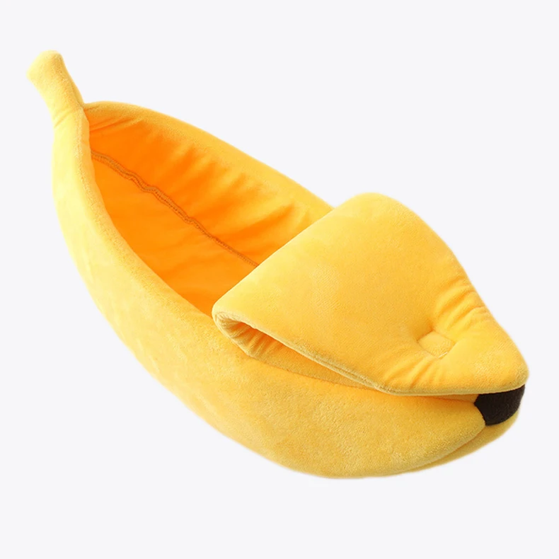 9124780080_1453749488