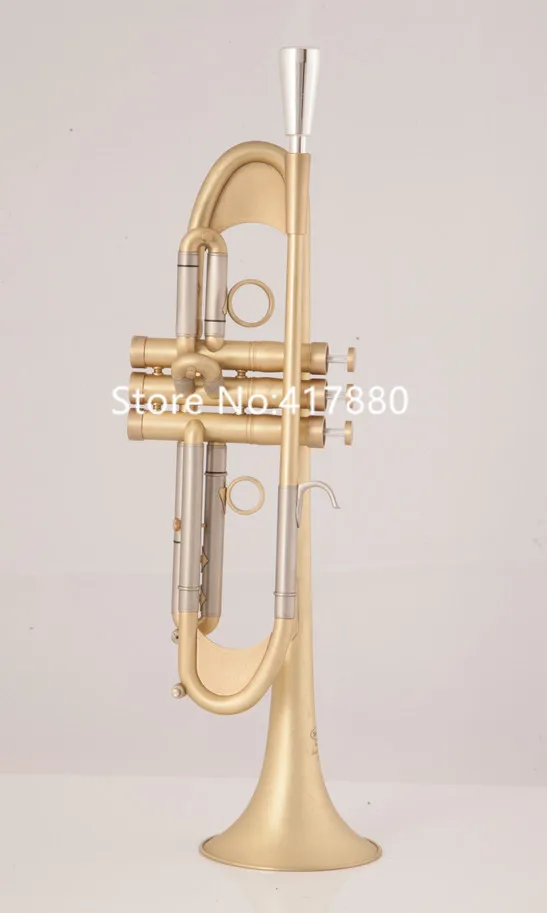 Falling Tune Bb Trumpet Mouthpiece brass Musical instrument with Case, Glover