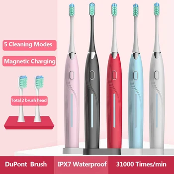 

New Ultrasound Sonic Electric Toothbrush Tooth Brush USB Wireless Rechargeable Waterproof Ultrasonic Automatic With 2 Brush Head