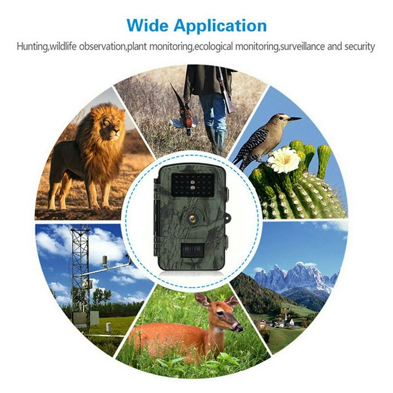 RD1003 HD Color 720P Animal Protection Hunting Camera