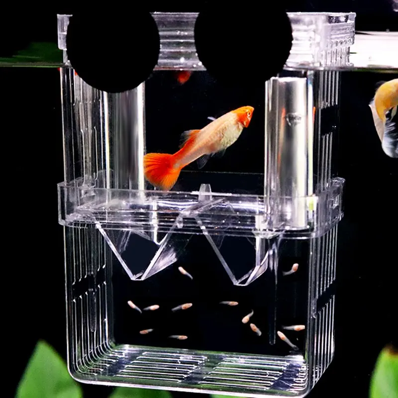 Ruiqas Aquarium Fishes Breeding Box Transparent Acrylic Isolation Breeder with Suction Cup Hatchery Incubator for Fish Tank 