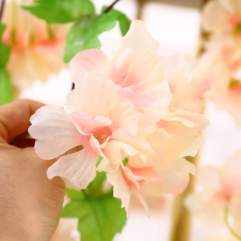 11350005893_1648202900