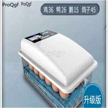 

ProQgf 1Pcs A Set 36pcs chicken Egg Incubator Hatcher