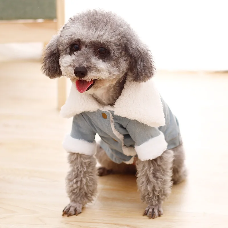 Зимняя куртка для собак, теплая одежда для щенков, костюм для животных, джинсовая куртка для собак, джинсовый костюм для чихуахуа, пуделя, бишона, одежда для маленьких питомцев
