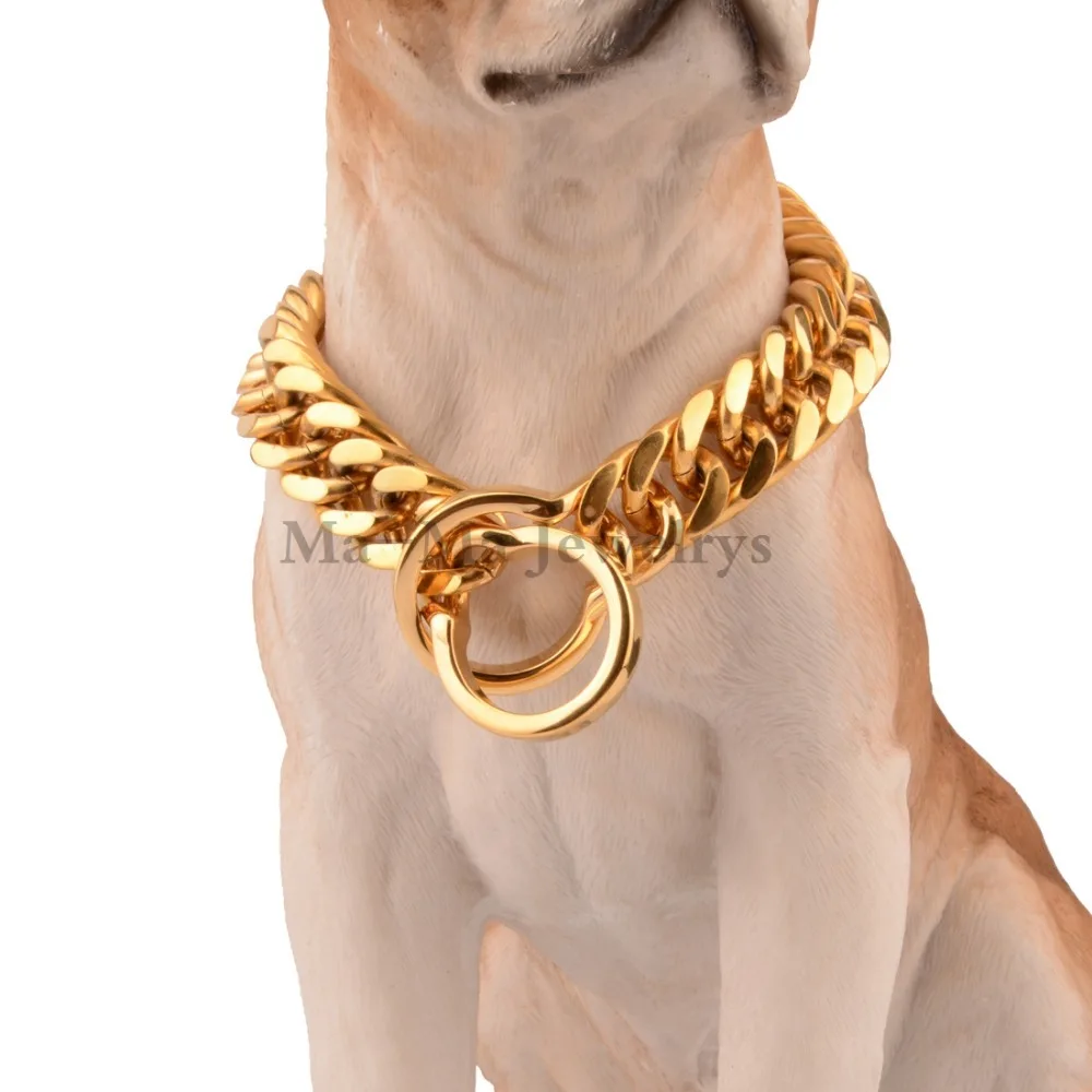 rottweiler with gold chain