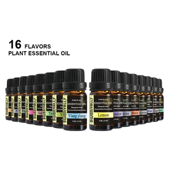 

10ML Natural Pure Plant Essential Oils Water Soluble Essential Oil Aromatherapy Fragrance Lamp Humidifier Relaxing 13 Flavors