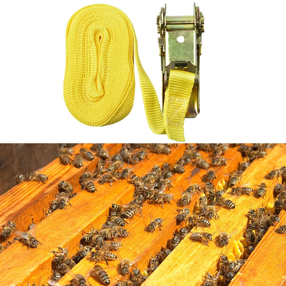 

Apiculture Bees Breeding Supply Export Beekeeping Tools Beehive Binder Not with Hook Ratchet Tie down