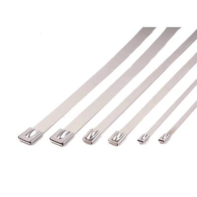 100pcs aco inox aco inox abracadeira 01