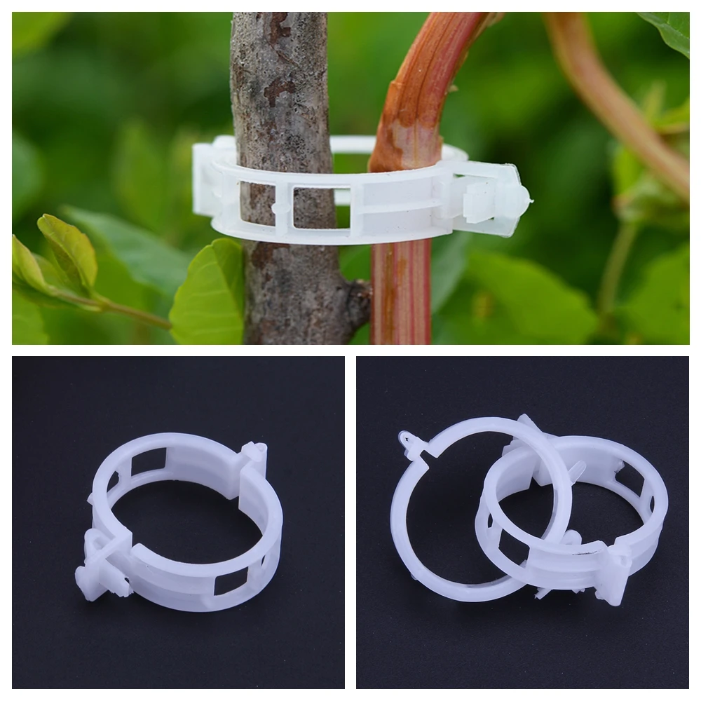 50 100pcs Reusable Plastic Plant Support Clips Clamps For Plants Hanging Vine Garden Greenhouse Vegetables Tomatoes