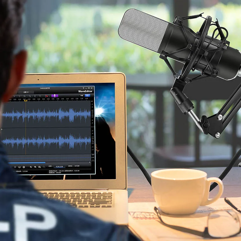 

Professional Condenser Microphone Studio Broadcasting Mic with Mount for PC Desktop Karaoke Hi 888