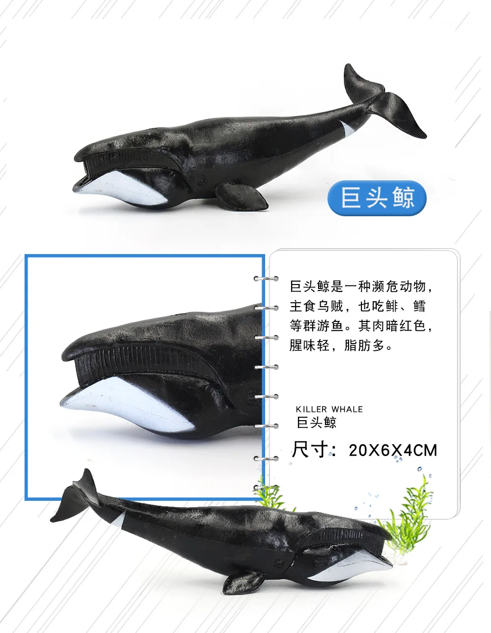 12-pvc КИТ Акула океаны дикие игрушки животные пластиковые модели животных игрушки