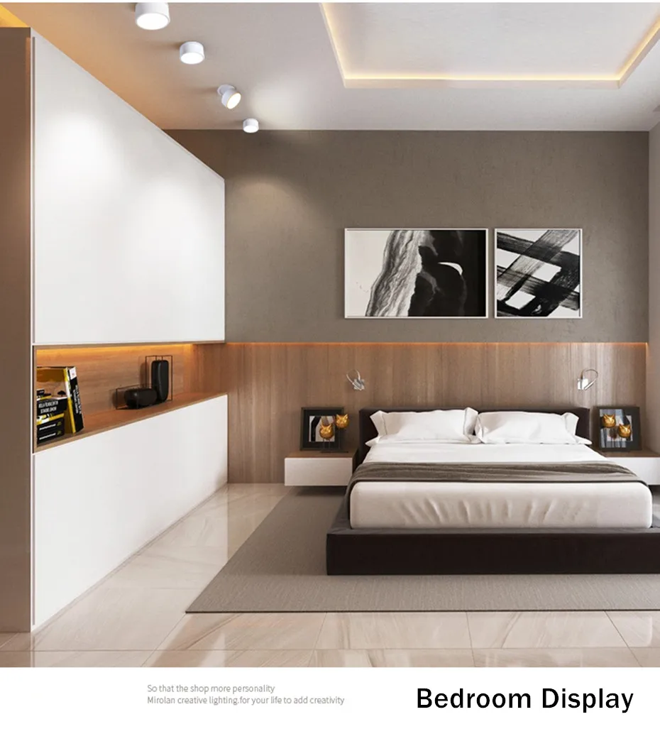 led recessed downlight  (11)