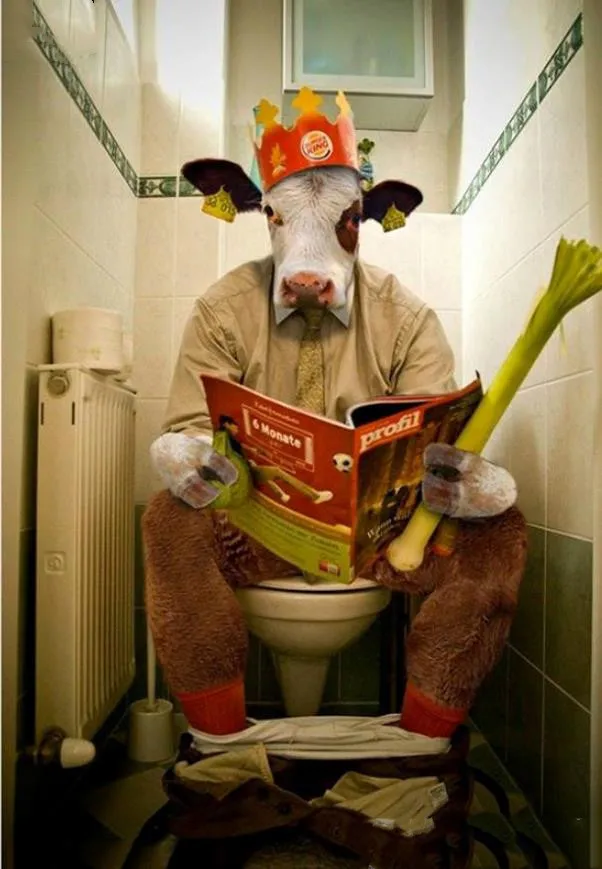 36020190317151722255