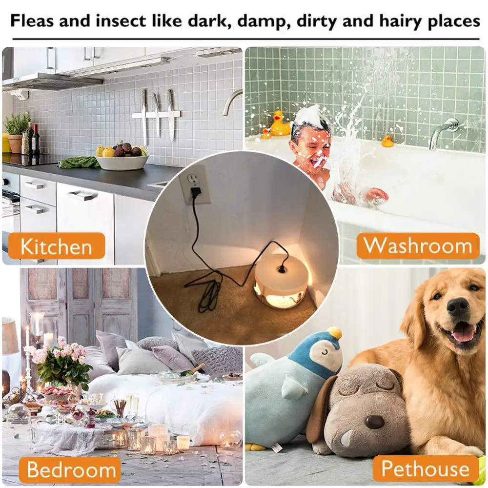 Non Poisonous Strong Flea Trap Lamp Discs Pest Sticky Board Catching Non-toxic Insect Killer Home Catcher Household Bug Control