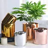 Garden Supplies