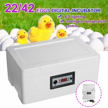 

Incubation Box 22/42 Eggs Digital Incubator Automatic Suitable for Hatching Snake Lizards Reptile Breeding Box with LED lighting