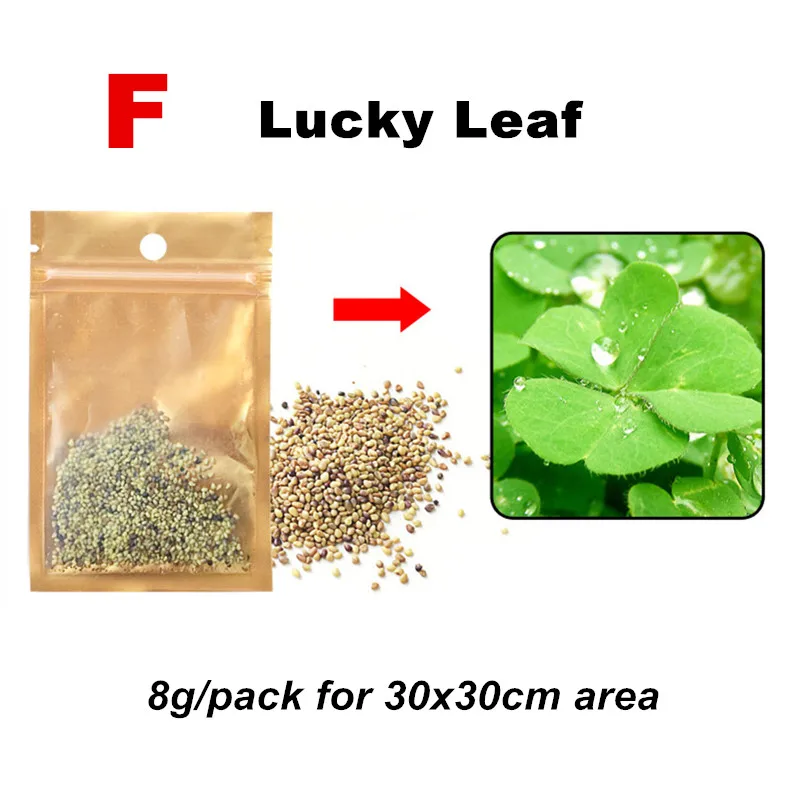 Lucky Leaf Легкое выращивание водяное растение для аквариума семя Hemianthus Callitrichoides Eleocharis аквариум трава Моховая лужайка украшение для аквариума - Цвет: Lucky Leaf