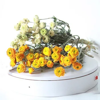 

8-10pcs Dried Flowers for Baby's Breath Wedding Decoration Natural Peony Flower Arrangement DIY Decor Photo Props Flower Branch