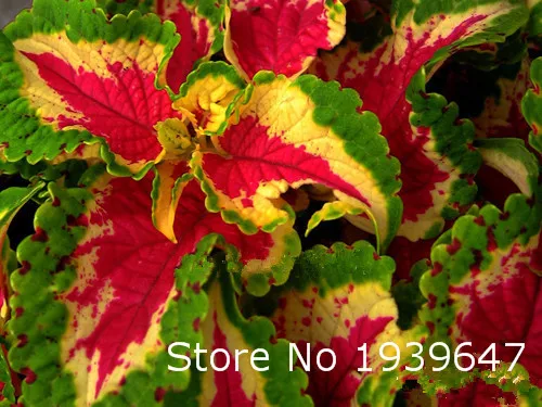 F82AE02482969E12386DF057A8DD0432