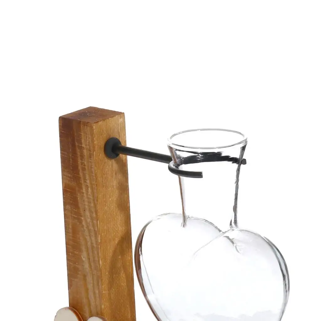 Test Tube Flower Vase Wooden Stand Flower Pots for Hydroponic Plants Office Home Decoration